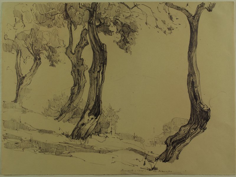 1928- Presepe sorrentino (studio)